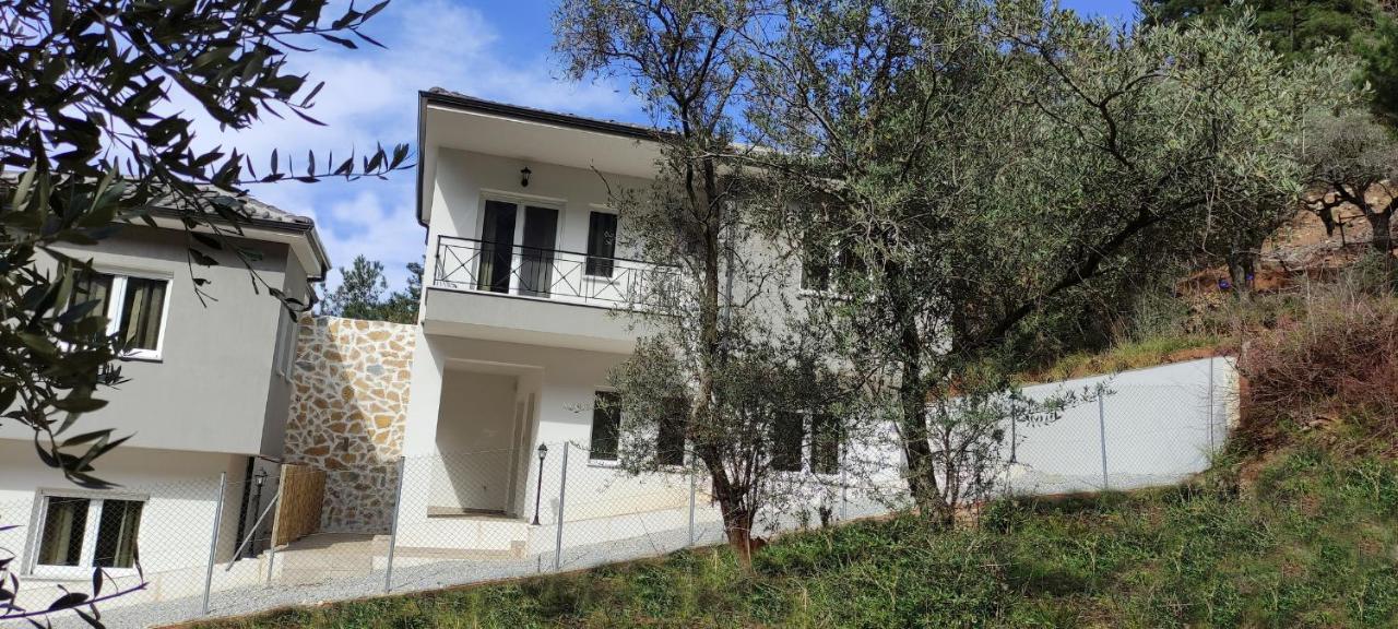 Evergreen Thassos Skala Potamia  Dış mekan fotoğraf