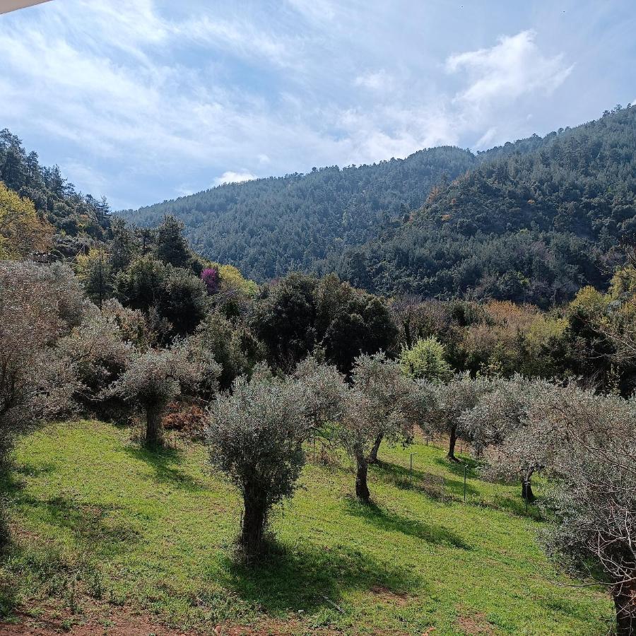 Evergreen Thassos Skala Potamia  Dış mekan fotoğraf